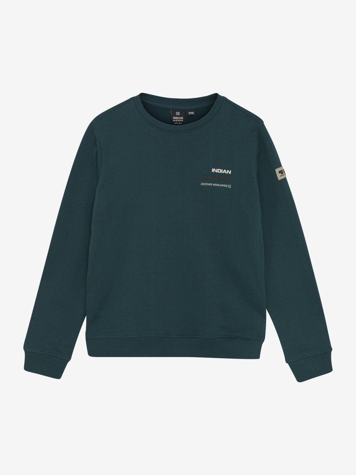 Indian Blue Jeans - Loose fit Sweat Backprint Green