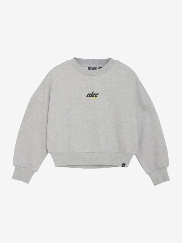 Indian Blue Jeans - Sweater Glitterprint