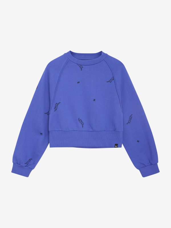 Indian Blue Jeans - Sweater Raglan
